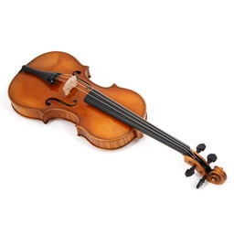 "Guadagnini" Violin H225-BG-5