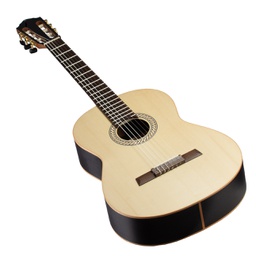 HLE-SPF24 Fichte / Schwarzpappel